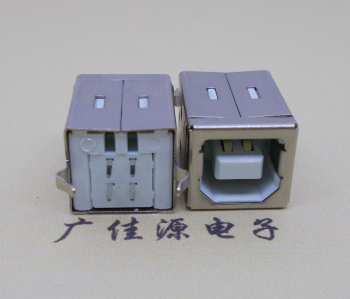 大连USB BF180度母座 打印机接口 立式直插带赛