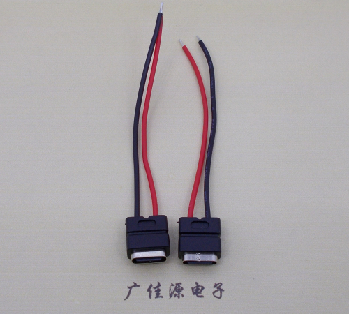 大连type c2p防水母座焊线式带线注塑成型带接线端子/不带接线端子充电连接器